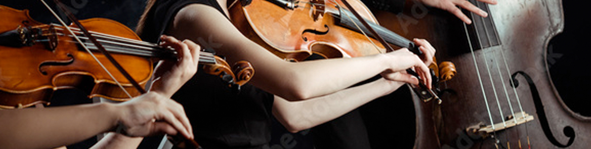 Musica d'insieme e vocale da camera