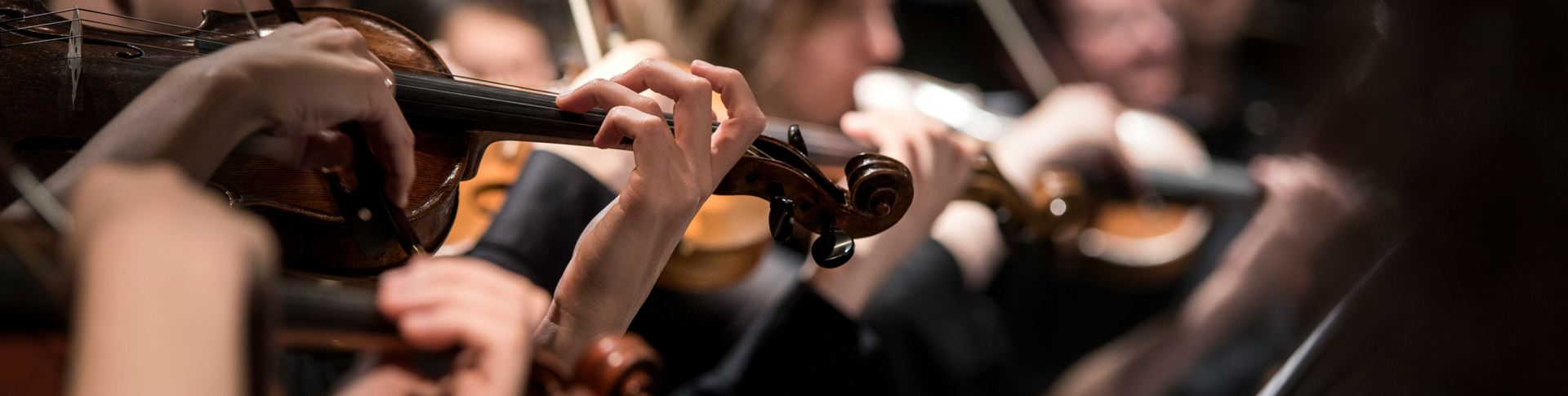 Musica d'insieme indirizzo per voci e strumenti antichi