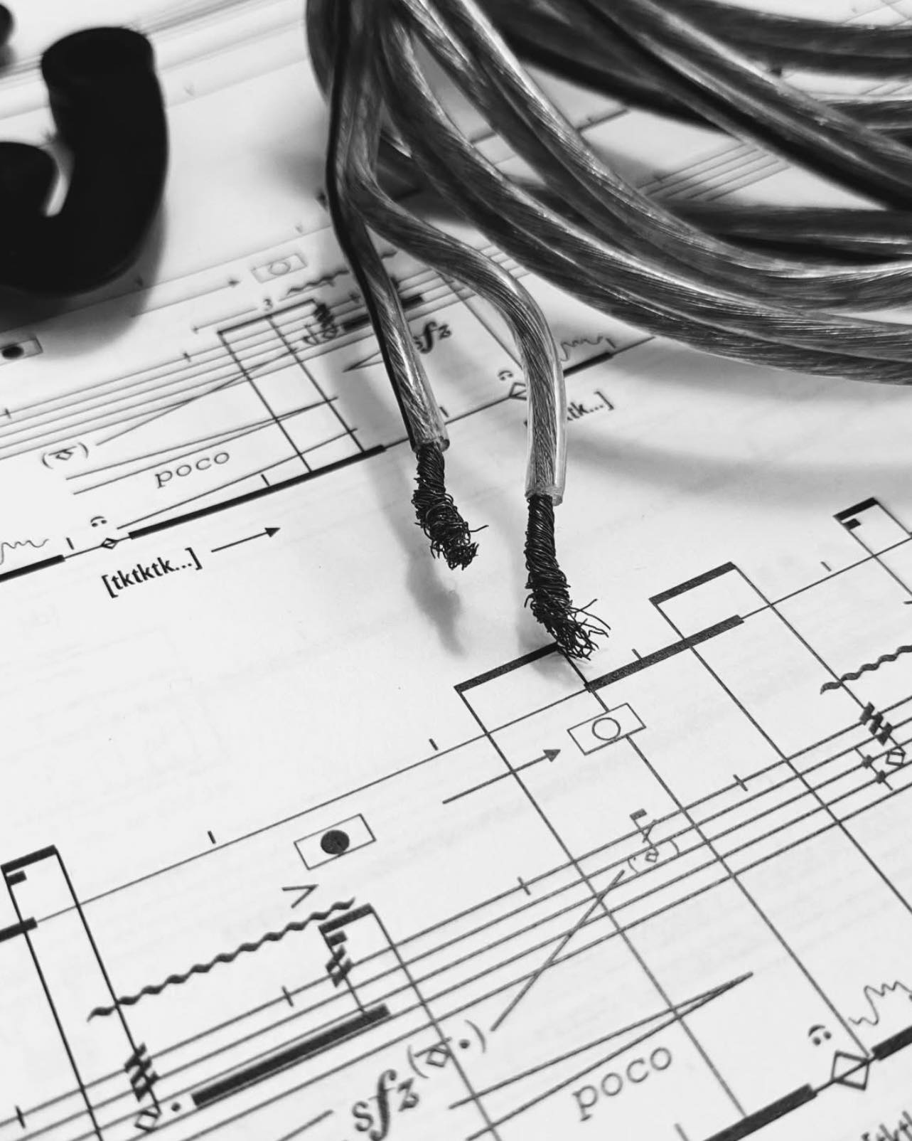 DOTTORATO DI RICERCA ARTISTICA SUL PATRIMONIO MUSICALE